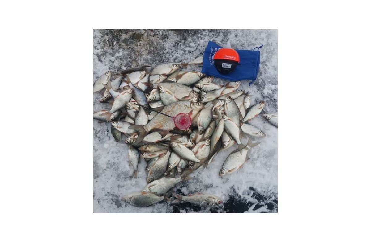 FishHunteri saaginäide
