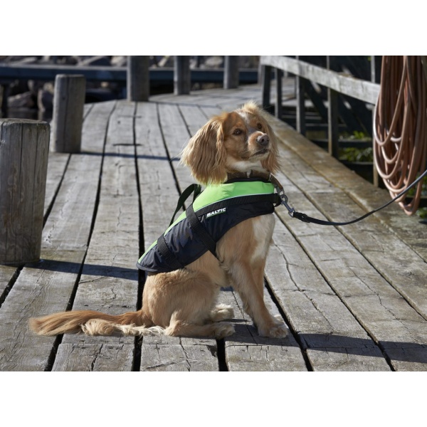 DOG VEST MASCOT 2.jpg