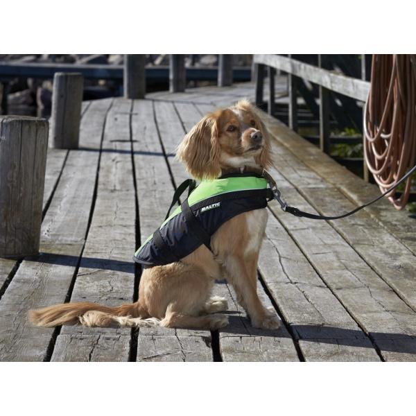 DOG VEST MASCOT 2.jpg