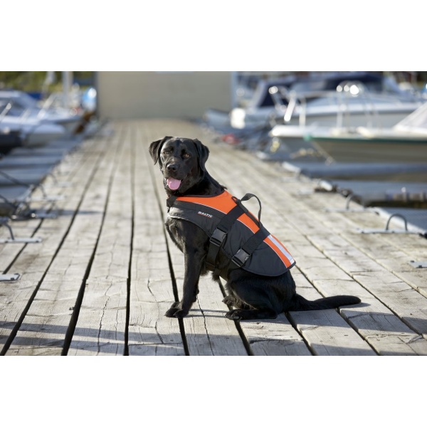 DOG VEST MASCOT 3.jpg