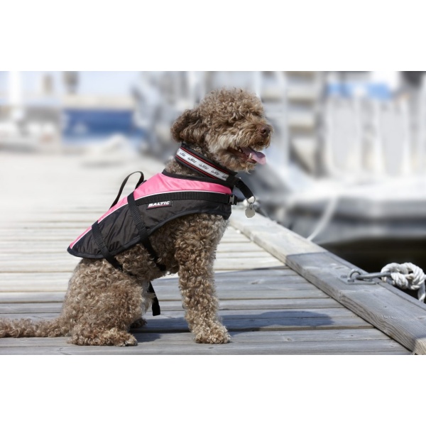 DOG VEST MASCOT 4.jpg