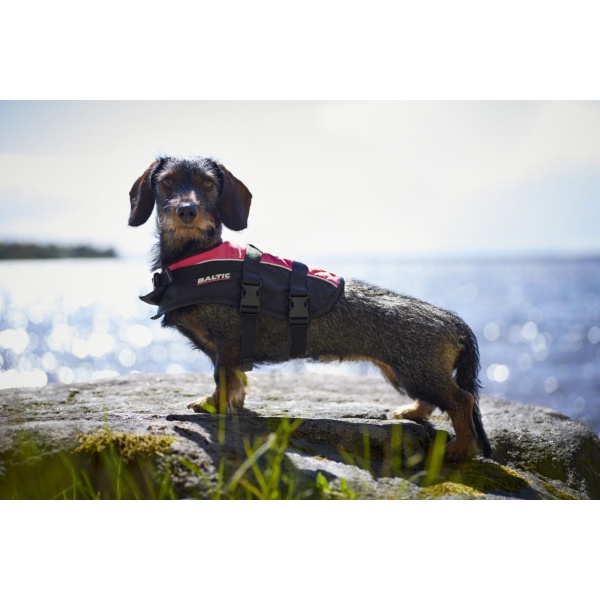 DOG VEST MASCOT roosa 2.jpg