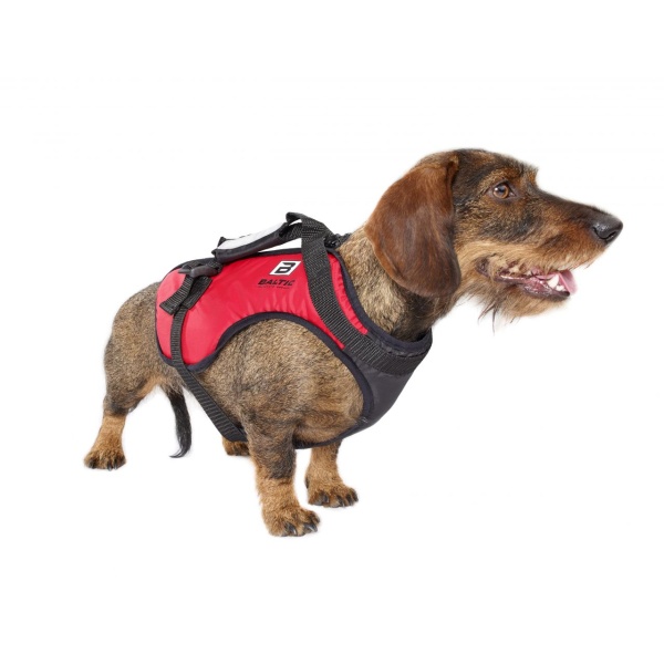 DOG VEST ZORRO.jpg