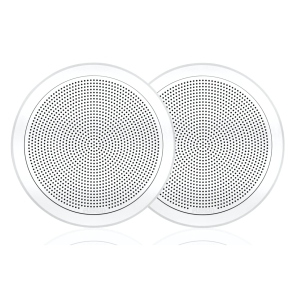 Flush Mount Speaker, 6.5.jpg