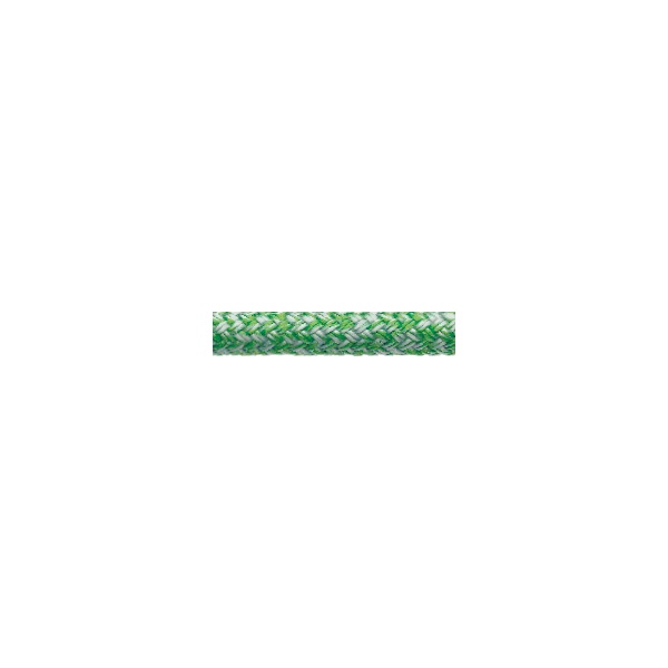Globe-Pro-white-green.jpg