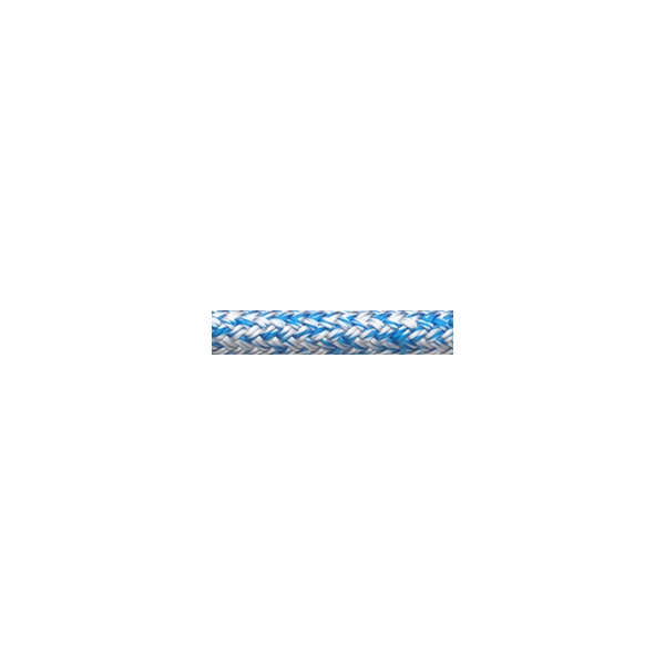 Globe-Pro-white-lightblue.jpg