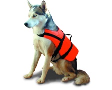 Pet retriever buoyancy aid&harness 15-40kg