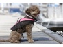 DOG VEST MASCOT 4.jpg