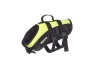 DOG VEST MASCOT.jpg