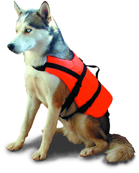 Lemmiklooma Ohutusvest rakmetega 15-40kg