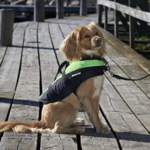 Pet buoyancy aid Mascot
