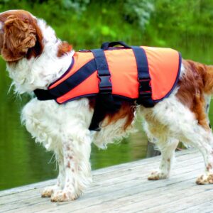 Pet buoyancy aid Pluto